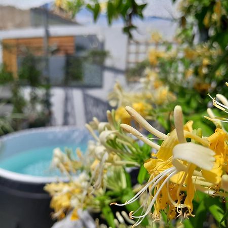 Bed and Breakfast Le Petit Patio Aigues-Mortes Exterior foto