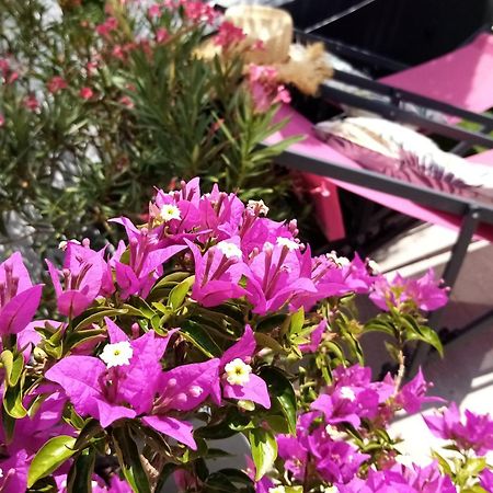 Bed and Breakfast Le Petit Patio Aigues-Mortes Exterior foto