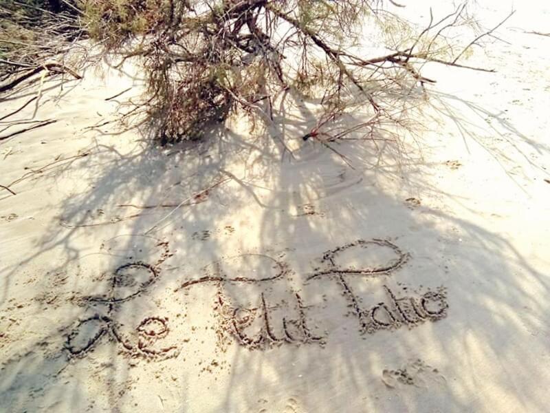 Bed and Breakfast Le Petit Patio Aigues-Mortes Exterior foto
