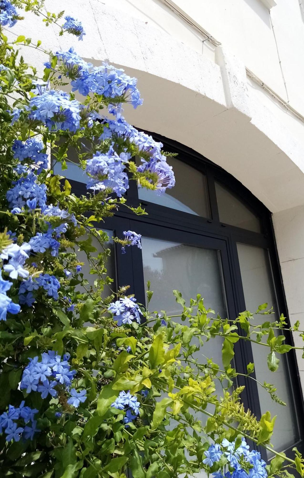 Bed and Breakfast Le Petit Patio Aigues-Mortes Exterior foto